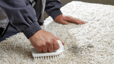 Professional Rug Cleaning Eaglemont